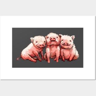 Three Cute Pig. Posters and Art